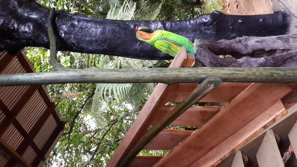 Mirador Prendas Sarapiquí エクステリア 写真