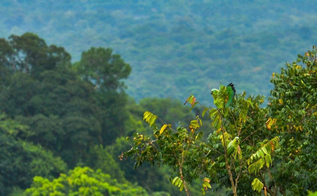 Mirador Prendas Sarapiquí エクステリア 写真