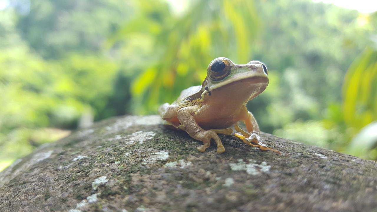 Mirador Prendas Sarapiquí エクステリア 写真